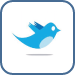 logo-twitter-web